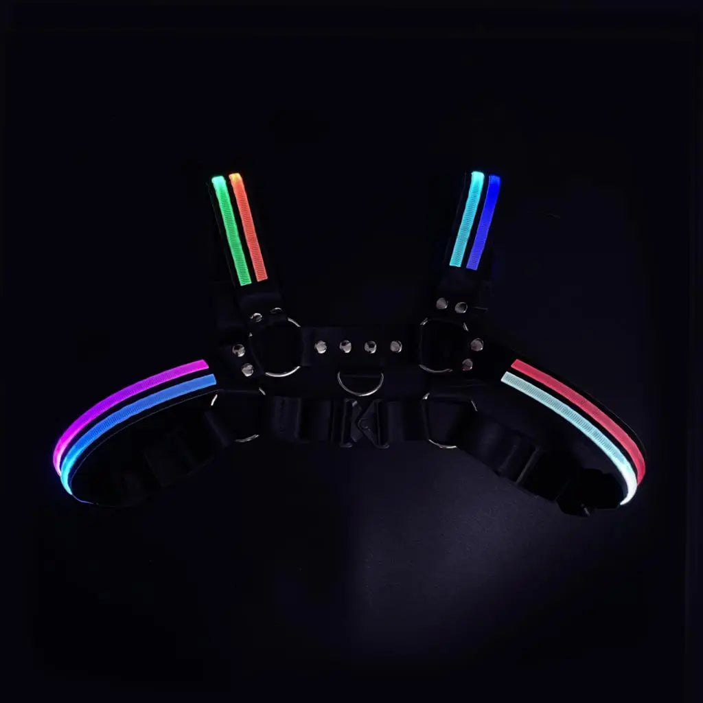 LED HARNESS I