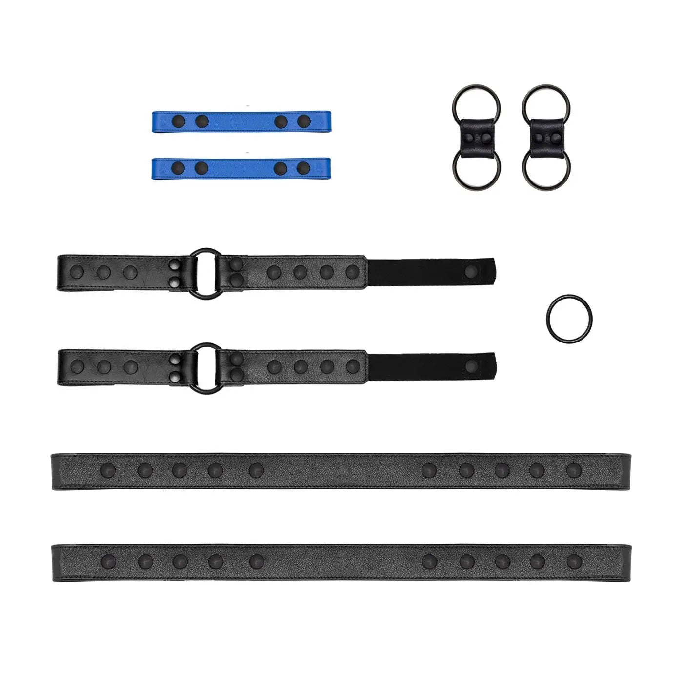 LEATHER BODY X HARNESS - BLACK AND BLUE