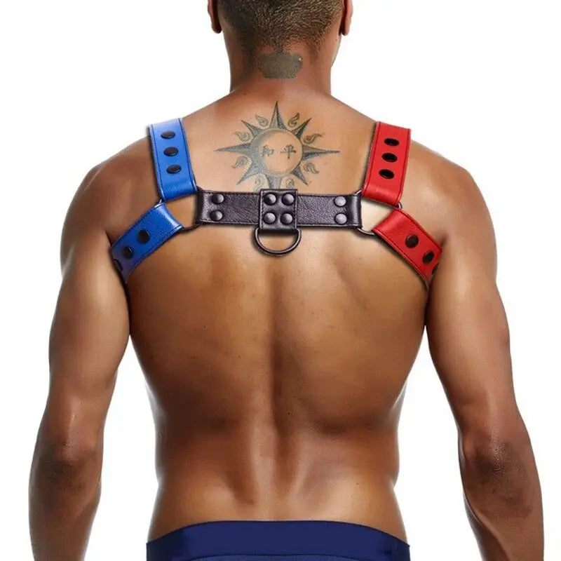 LEATHER HARNESS - Blue, Black & Red