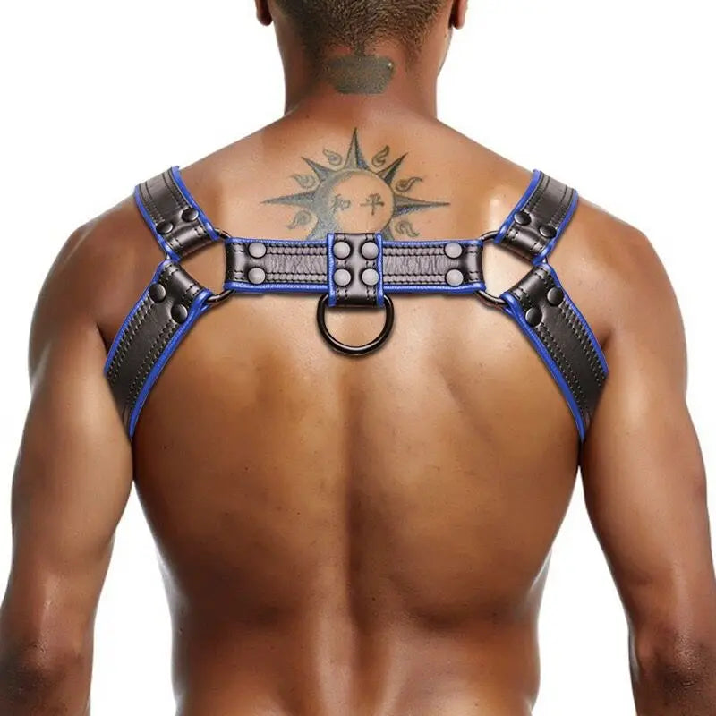 LEATHER HARNESS - BLUE AND BLACK